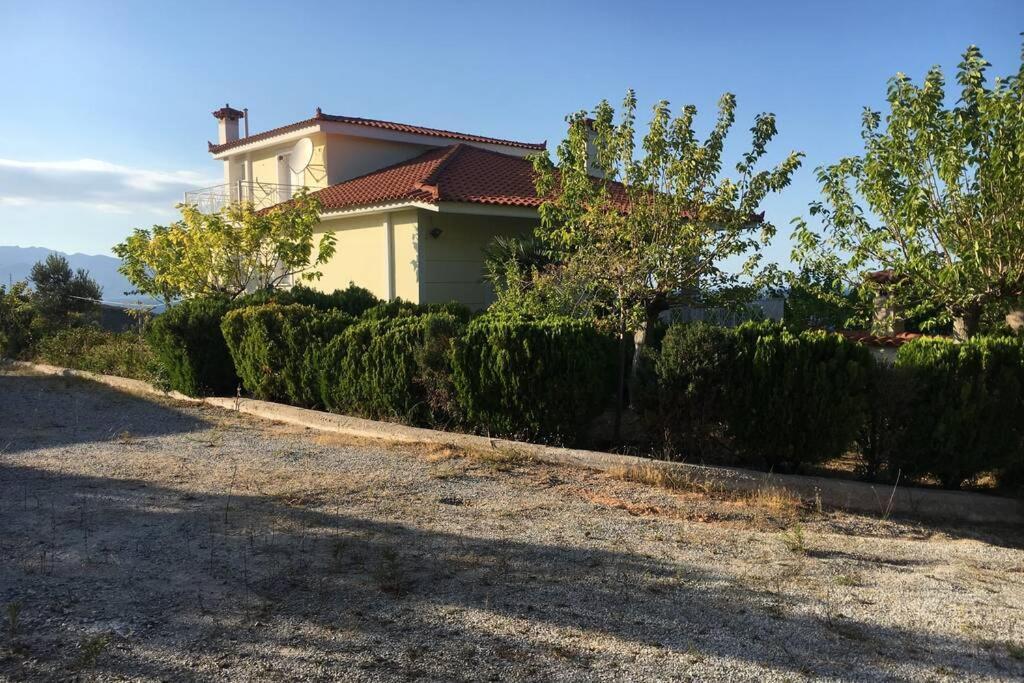 Villa Aegean Μουρτερή Εξωτερικό φωτογραφία