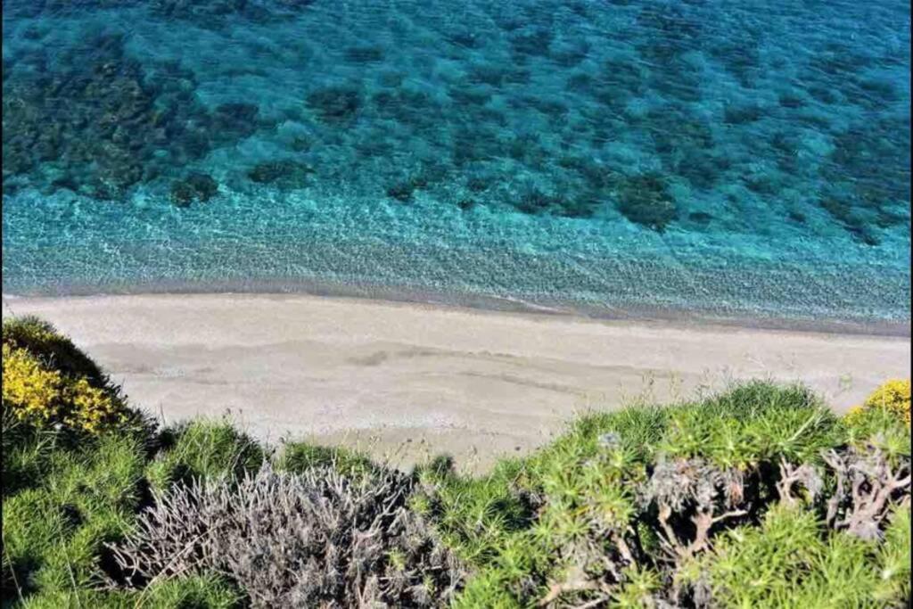 Villa Aegean Μουρτερή Εξωτερικό φωτογραφία
